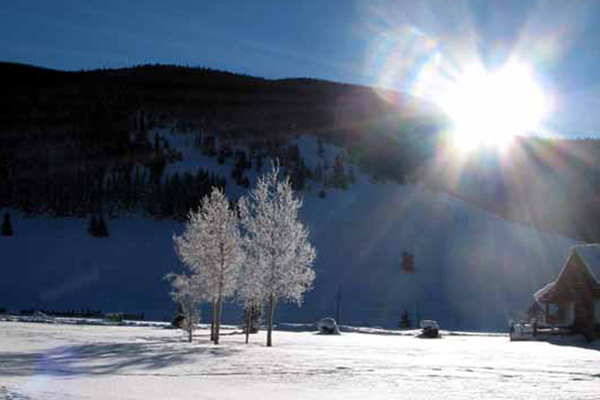 Order Generic Cialis Softtabs Online